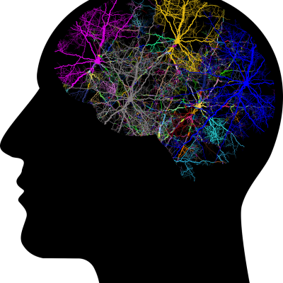 Cranium g9f461ff99 1280